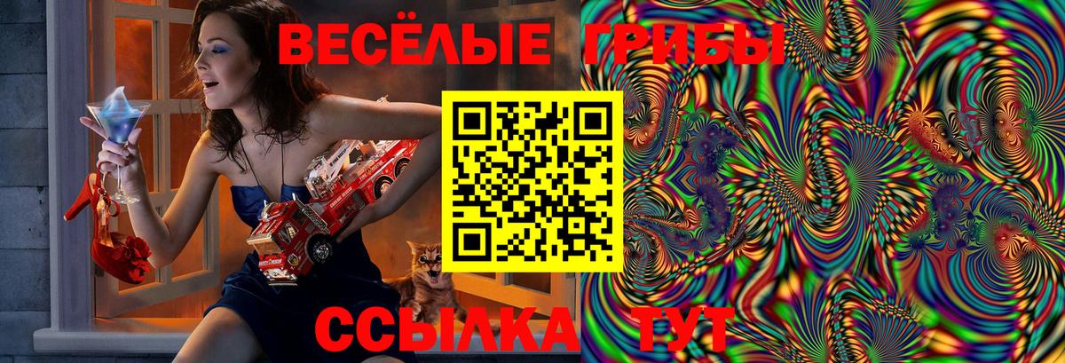 Псилоцибиновые грибы GOLDEN TEACHER  магазин продажи   Вход с VPN  Рассказово  Псилоцибиновые грибы Cubensis 
